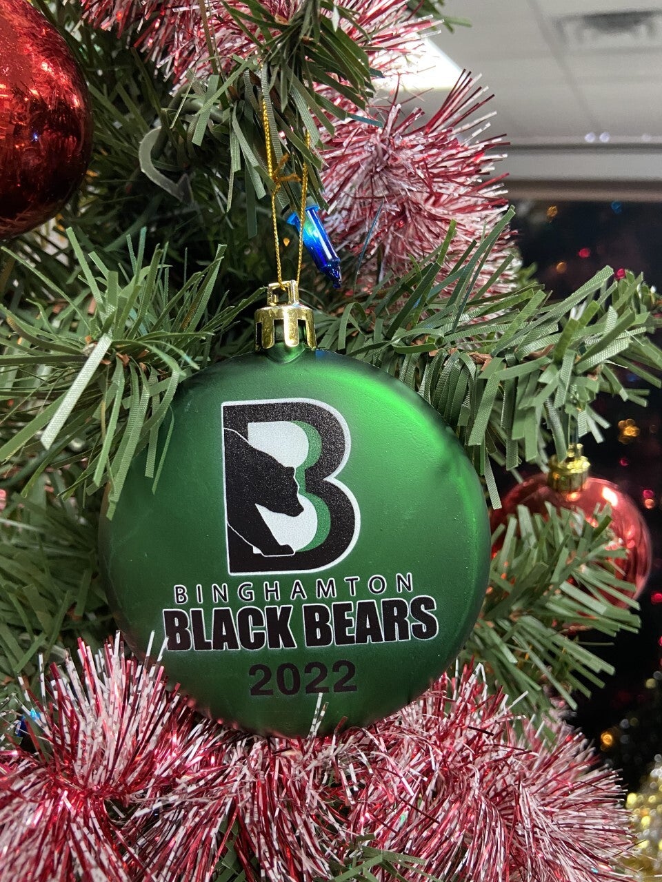 Christmas with the Binghamton Black Bears - WICZ